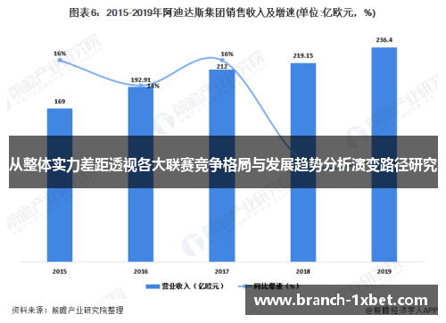 从整体实力差距透视各大联赛竞争格局与发展趋势分析演变路径研究